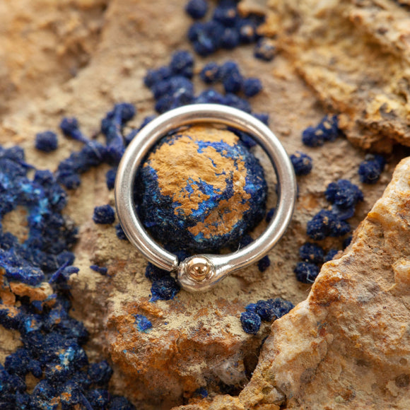 Naga Septum Ring Sterling and Gold